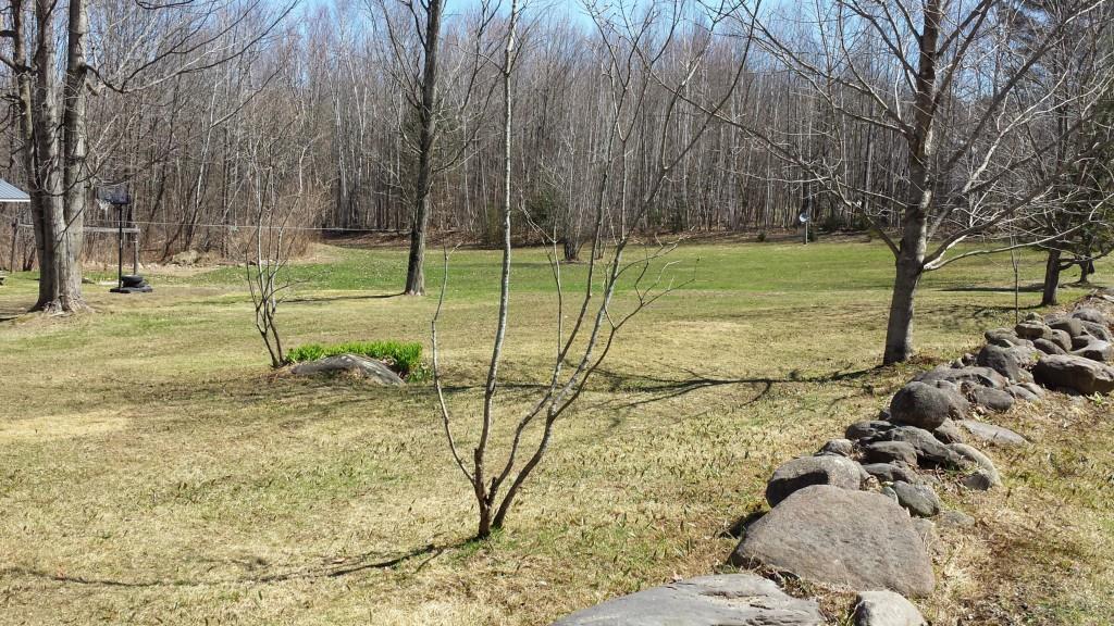 822 Bailey Hill Road Farmington, ME 04938 - Photo 3 of 22 Photo