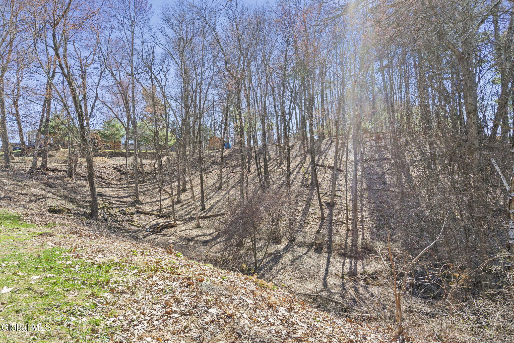 7 Saddle Hill Road Poestenkill, NY 12198 - Photo 3 of 3 18-web-or-mls-8-saddle-hill-rd