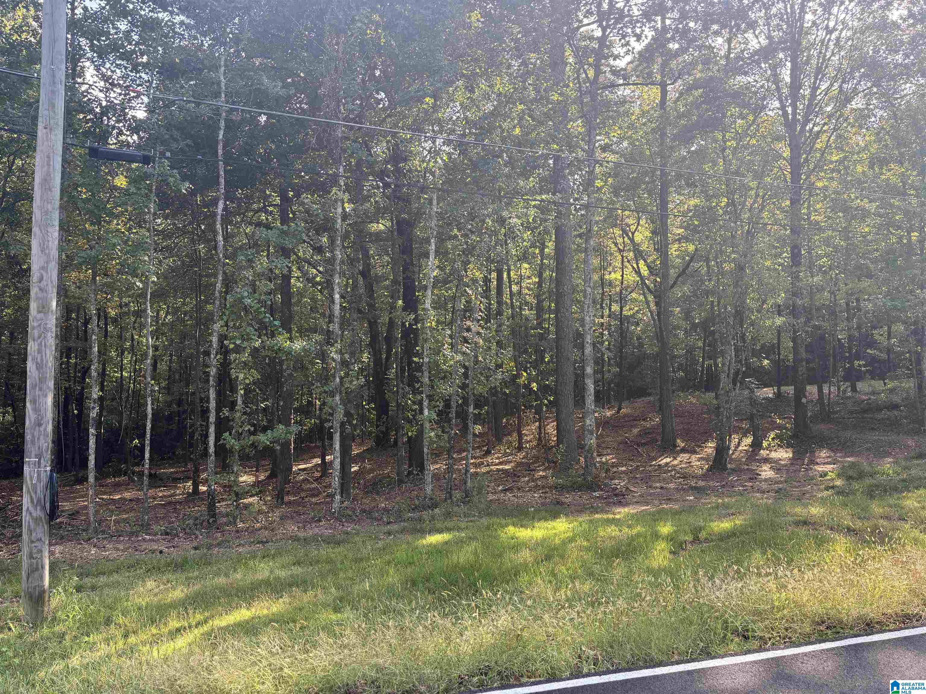Lot 2 Morton Road, Unit 2 Blountsville, AL 35031 - Photo 4 of 4