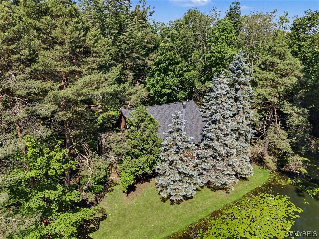 10985 Griswold Road Darien, NY 14040 - Photo 44 of 50
