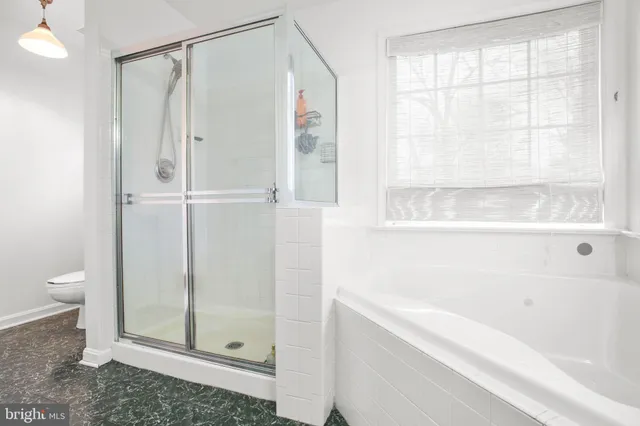 a bathroom with a shower and a toilet