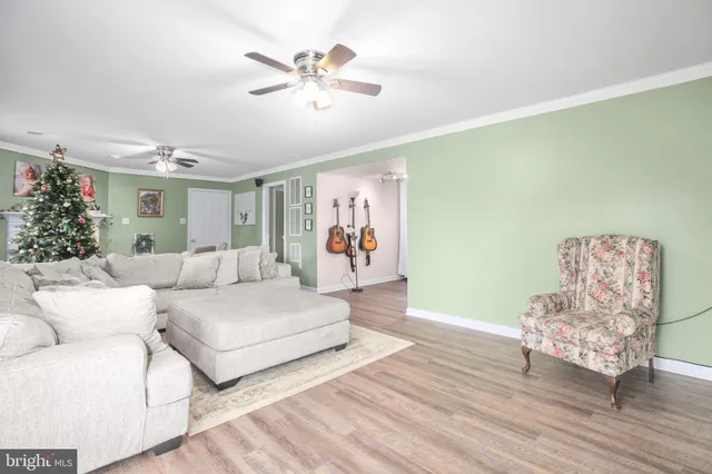 a living room with furniture a potted plant and a fireplace