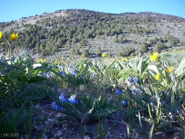 $748,000 | 634 Acre Parcel, Wells, NV 89835