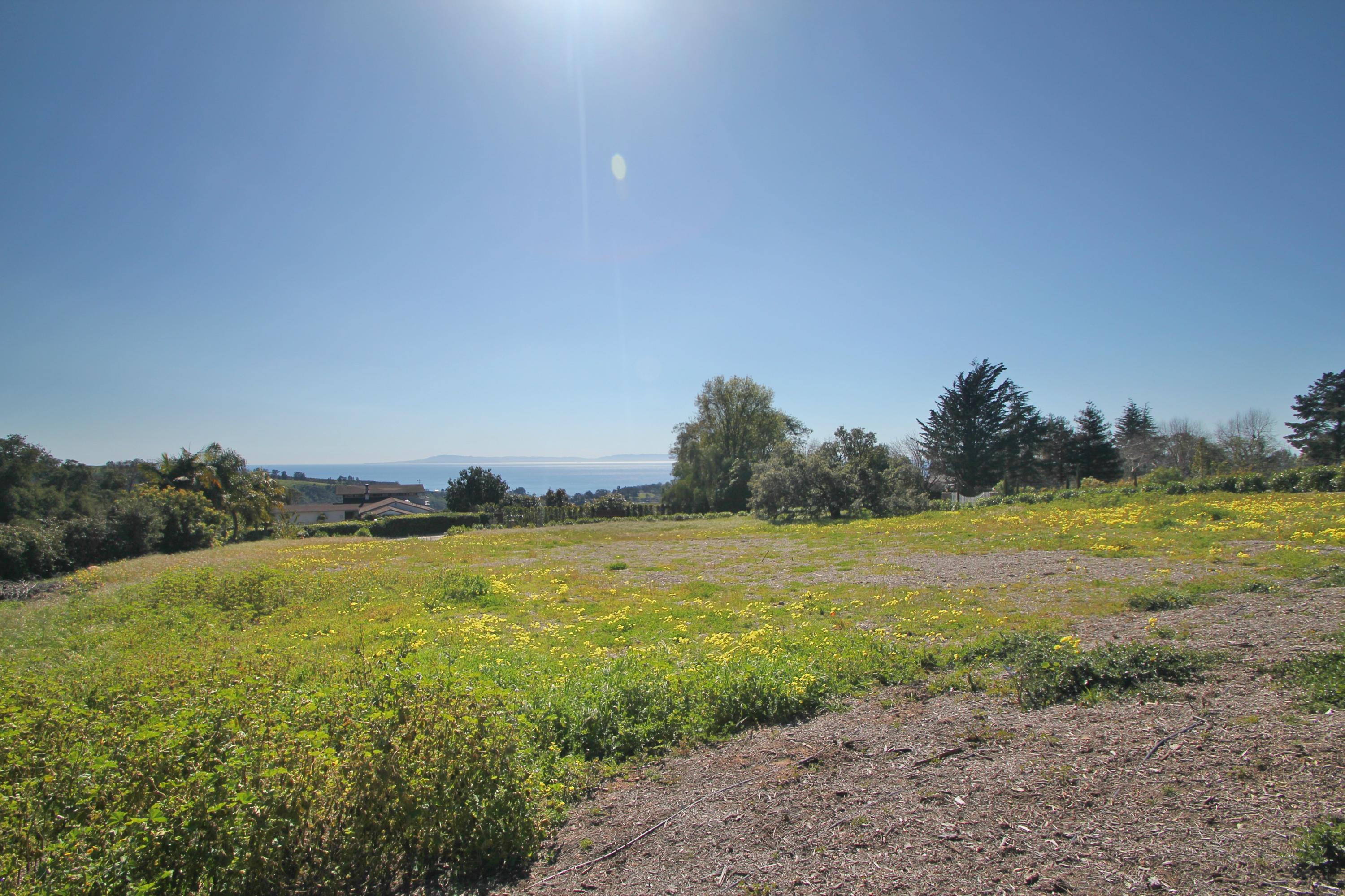 7392 Shepard Mesa Road Carpinteria, CA 93013 - Photo 8 of 15 11_IMG_1082 -2