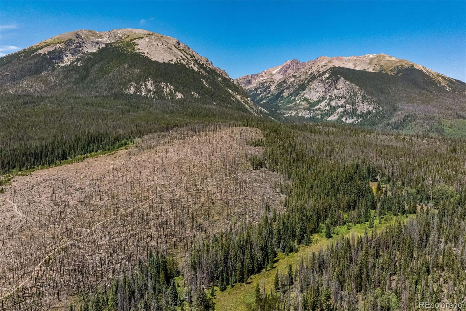 89310 Ryan Gulch Road, Unit 403 Silverthorne, CO 80498 - Photo 35 of 40 a view of a lake in a forest