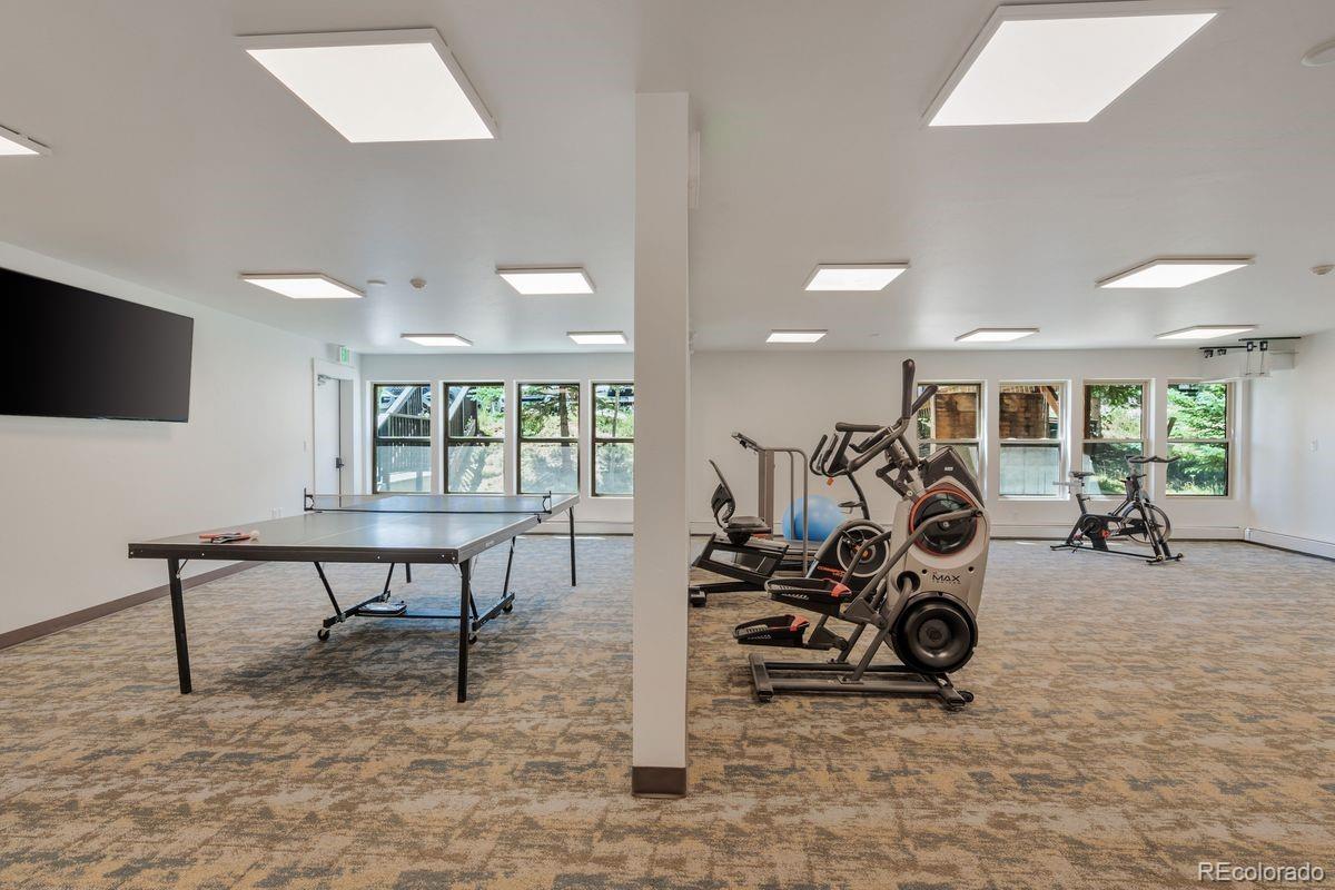 89310 Ryan Gulch Road, Unit 403 Silverthorne, CO 80498 - Photo 40 of 40 a view of a room with gym equipment