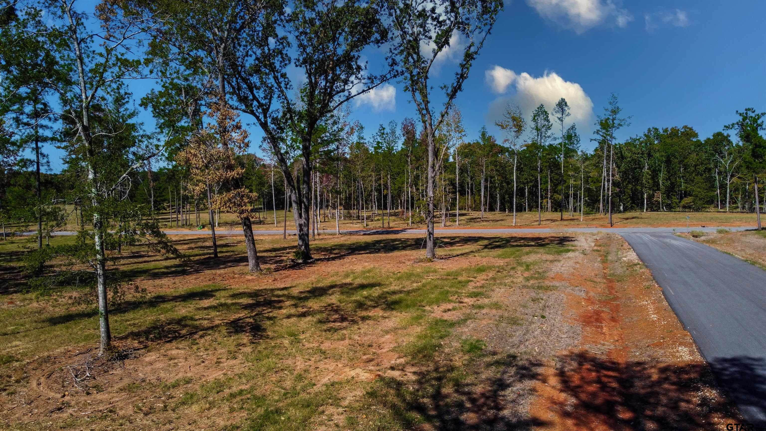 16111 Aniston Lane Flint, TX 75762 - Photo 11 of 47 a view of a park with swings and slides