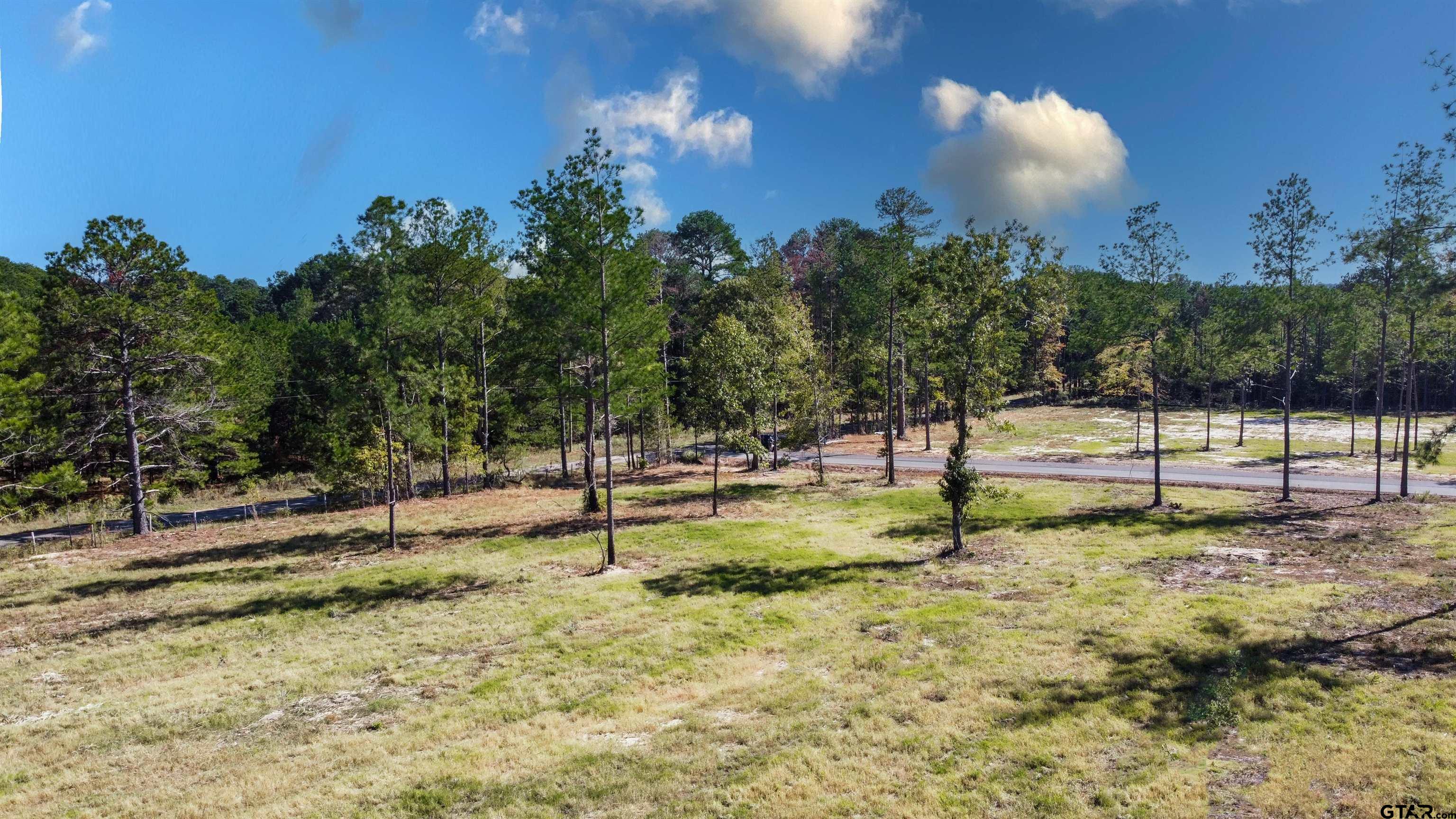16111 Aniston Lane Flint, TX 75762 - Photo 35 of 47 a view of a tree with a yard