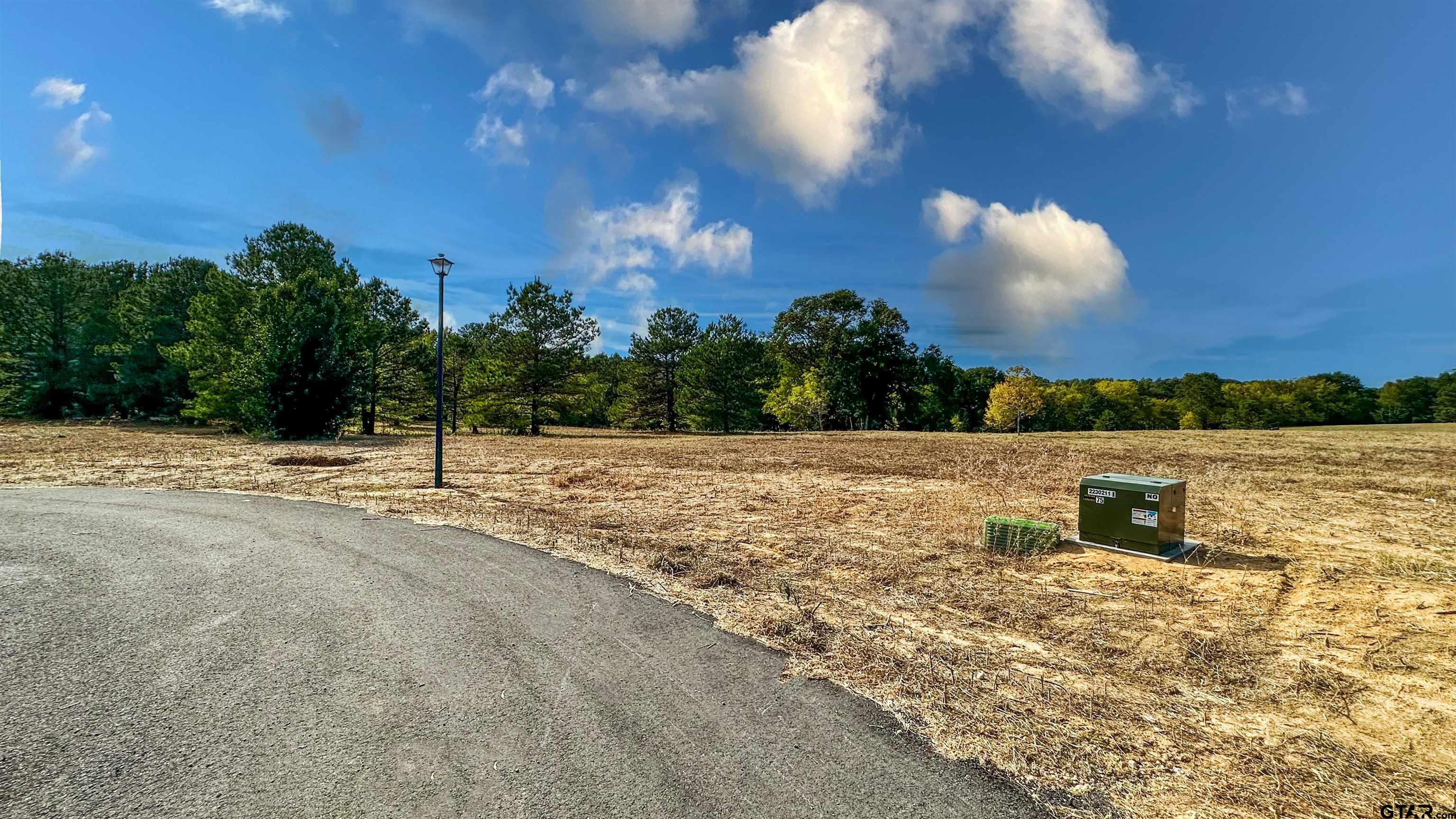 16111 Aniston Lane Flint, TX 75762 - Photo 40 of 47 a view of a lake with a house in the background
