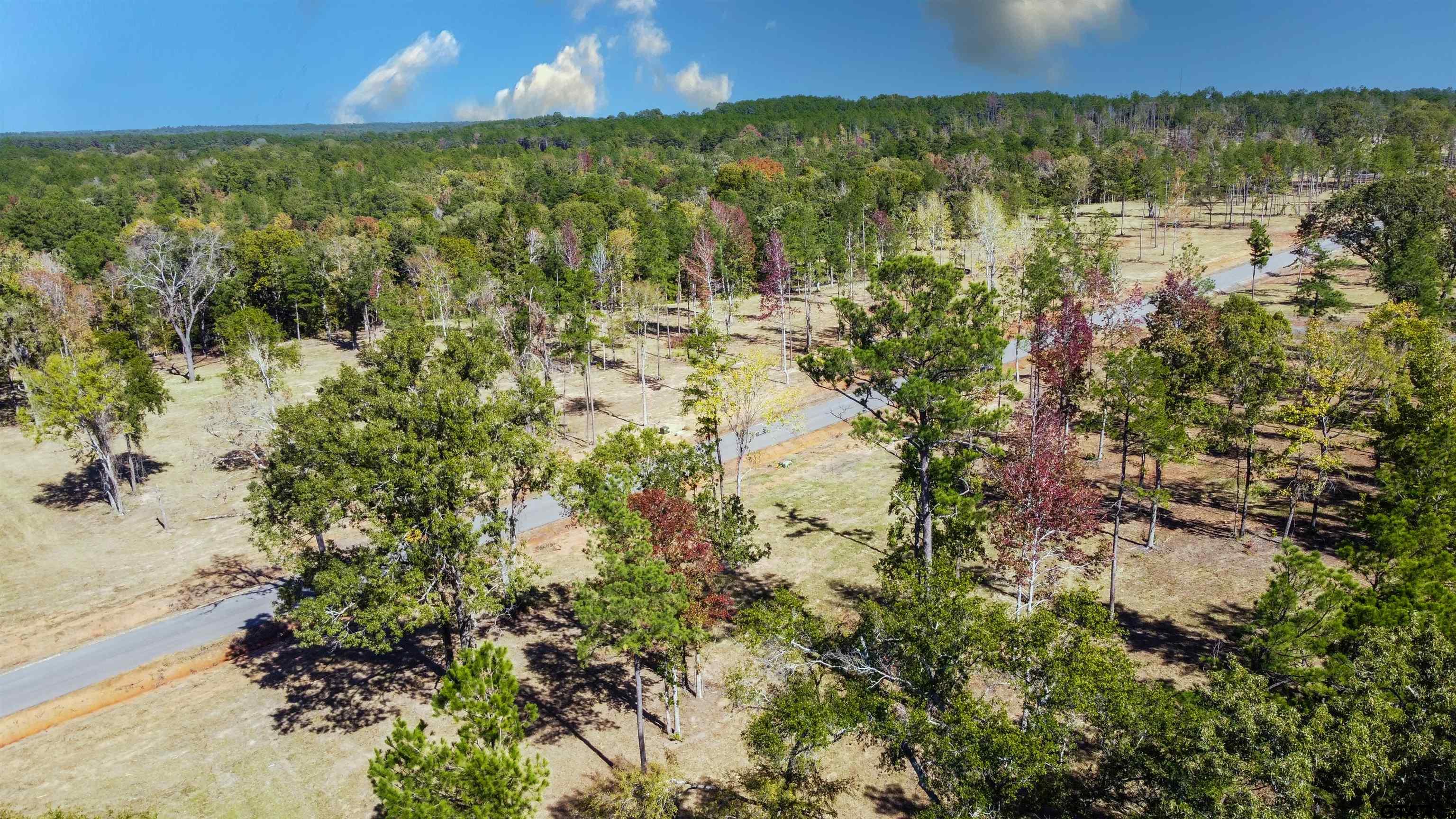 16111 Aniston Lane Flint, TX 75762 - Photo 6 of 47 a view of lake and green space