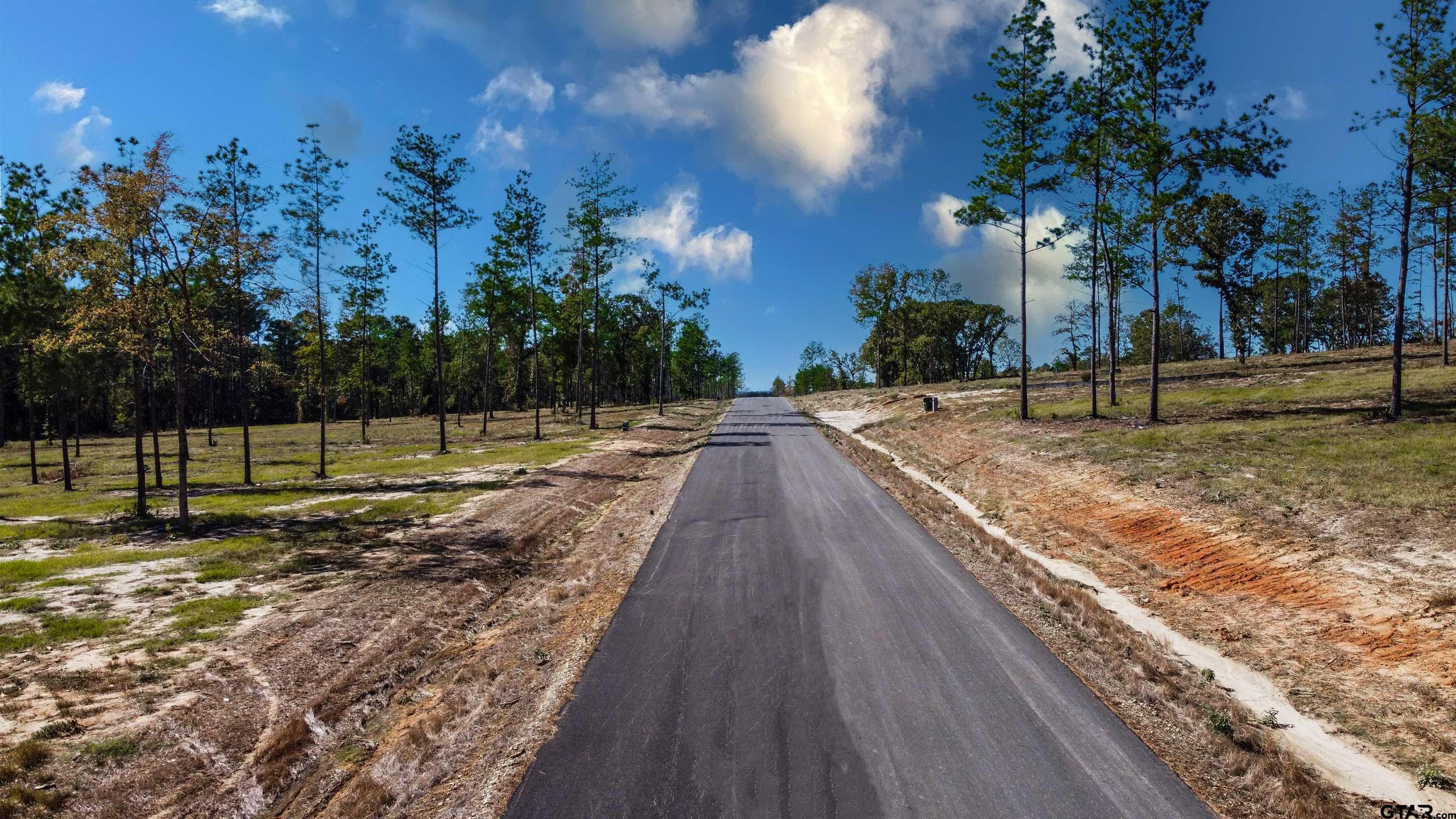 16111 Aniston Lane Flint, TX 75762 - Photo 9 of 47 a view of a backyard