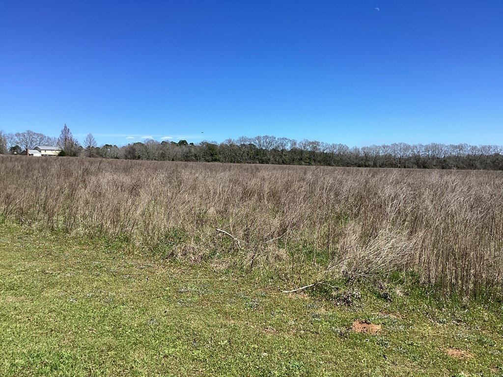 0 Benton Store Road Columbia, AL 36319 - Photo 14 of 24