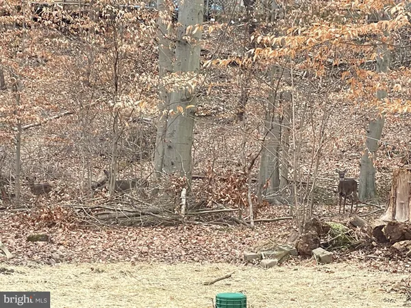 $550,000 | 43 The Horseshoe, Newark, DE 19711