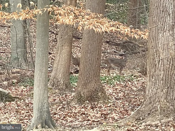 $550,000 | 43 The Horseshoe, Newark, DE 19711