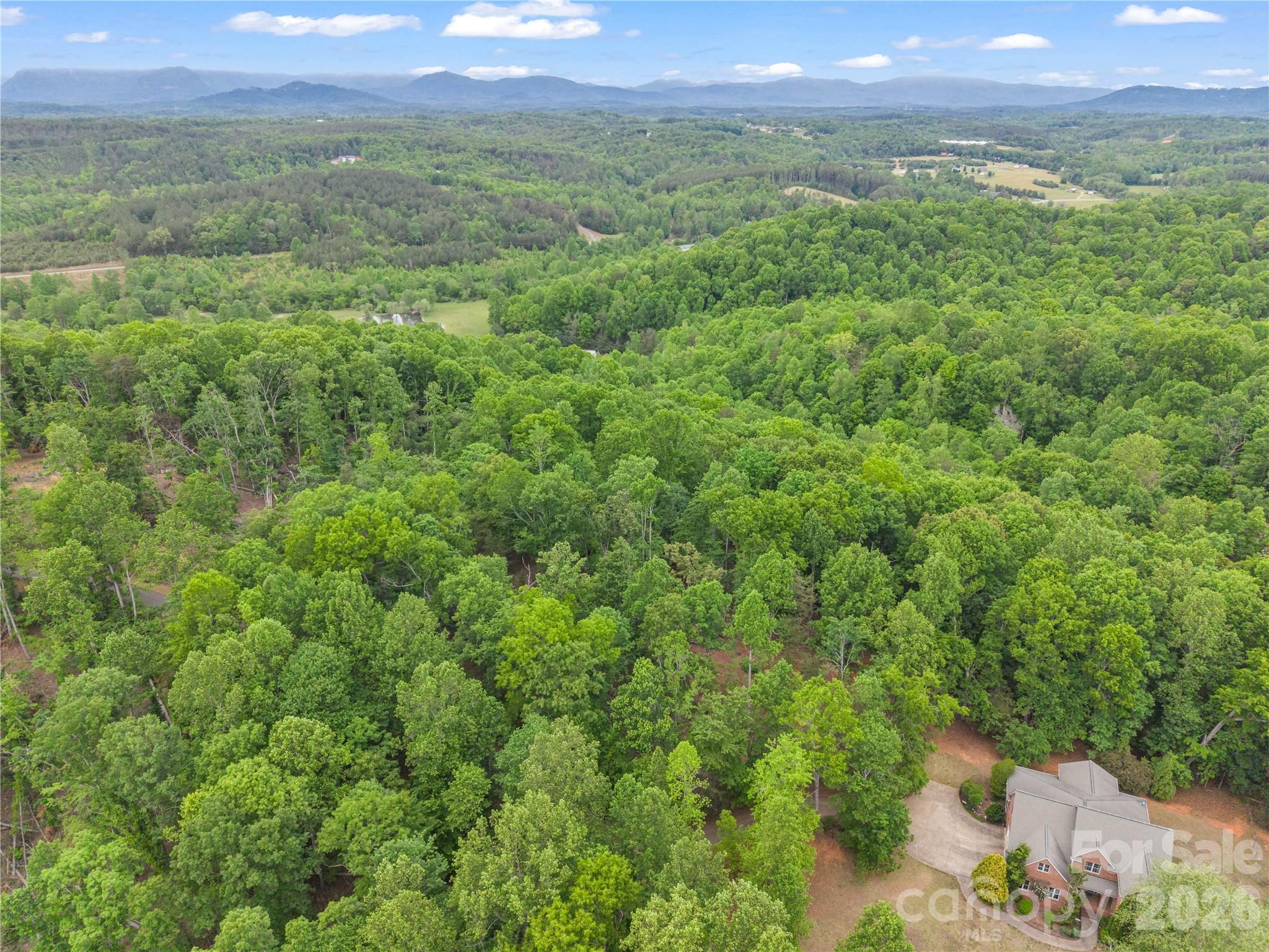 0 Wilderness Ridge Rutherfordton, NC 28139 - Photo 11 of 19