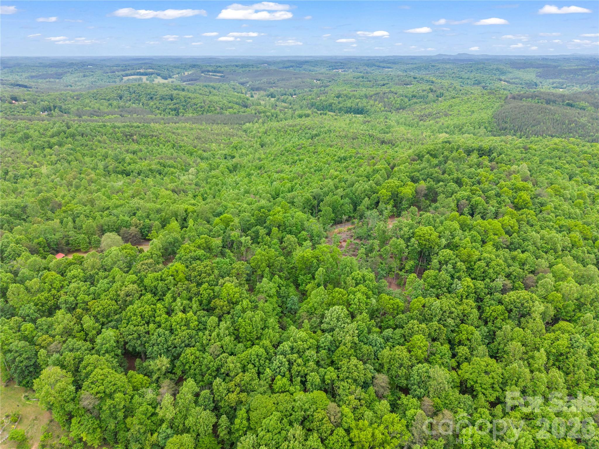 0 Wilderness Ridge Rutherfordton, NC 28139 - Photo 12 of 19