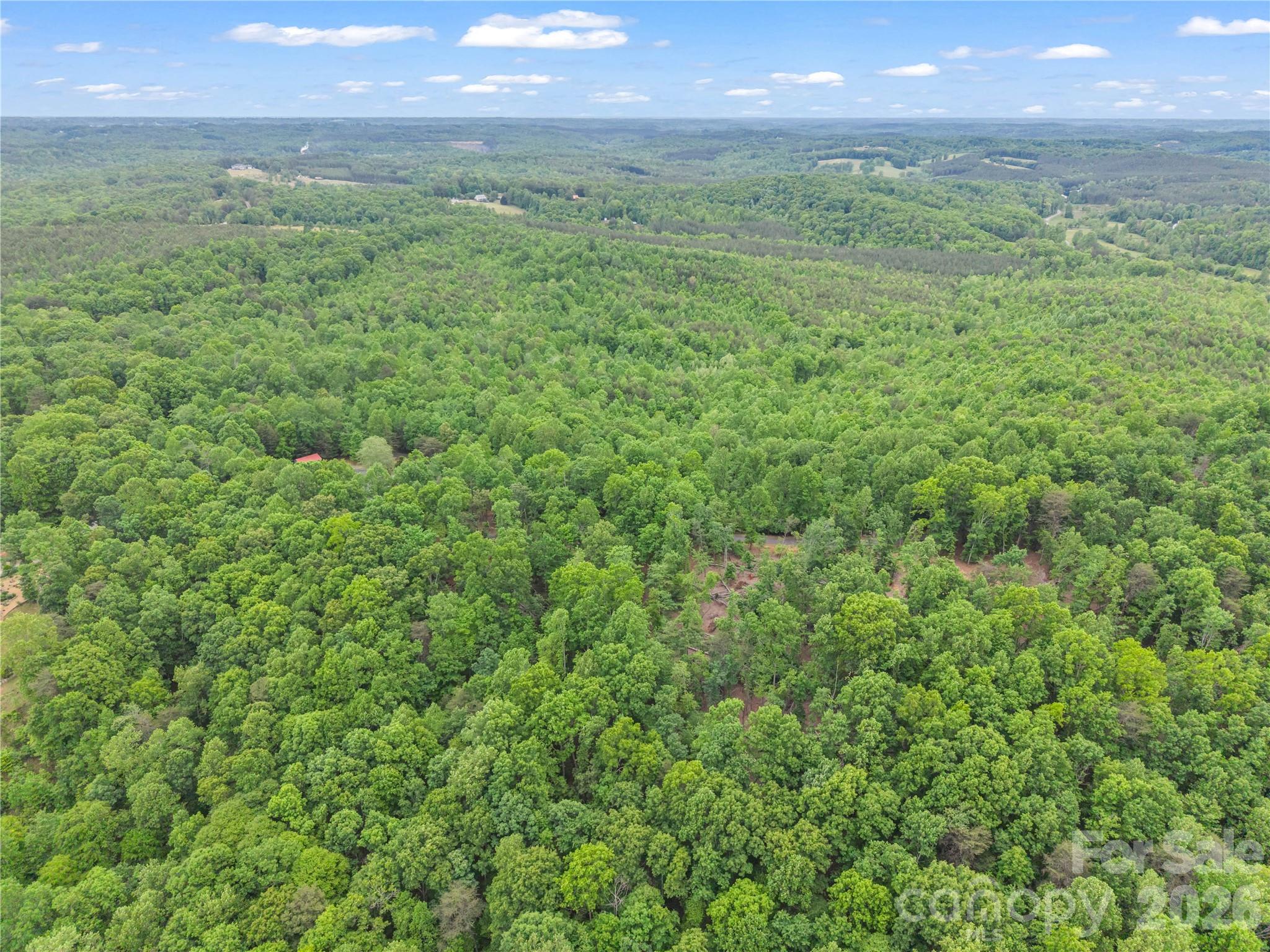 0 Wilderness Ridge Rutherfordton, NC 28139 - Photo 13 of 19
