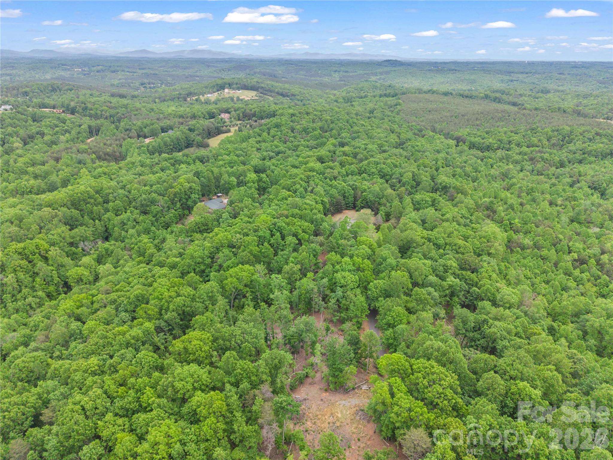 0 Wilderness Ridge Rutherfordton, NC 28139 - Photo 14 of 19