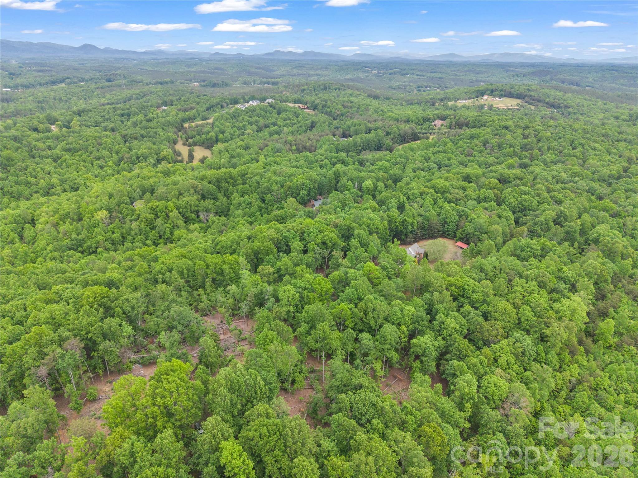 0 Wilderness Ridge Rutherfordton, NC 28139 - Photo 15 of 19