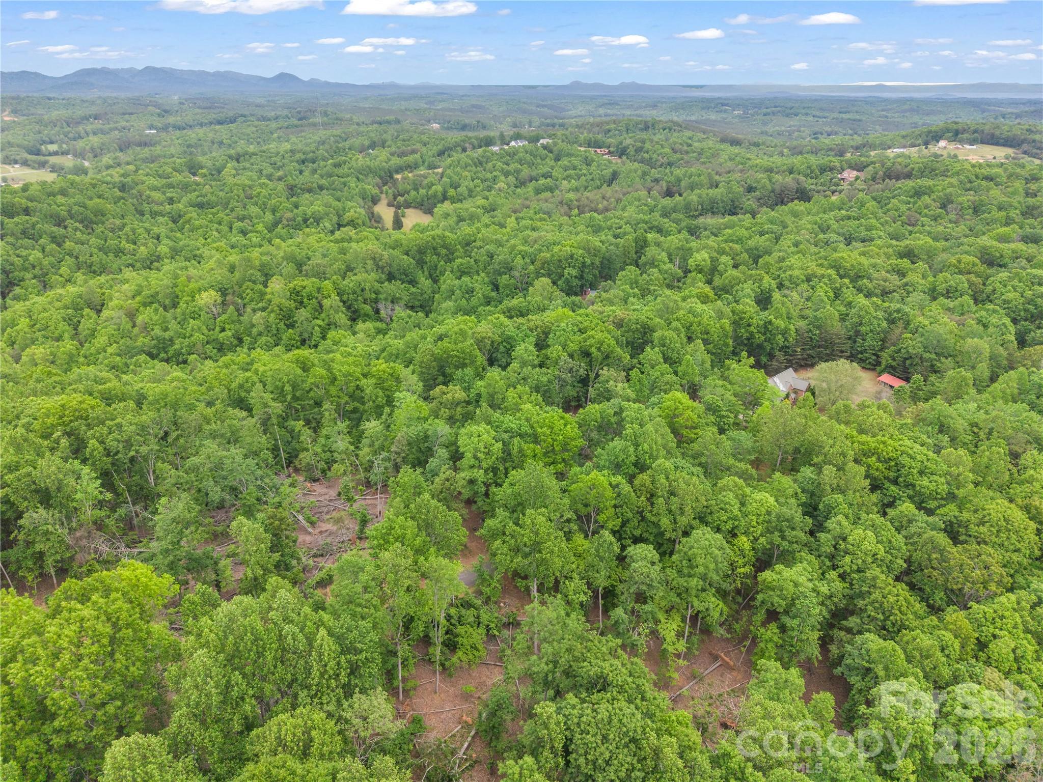 0 Wilderness Ridge Rutherfordton, NC 28139 - Photo 16 of 19