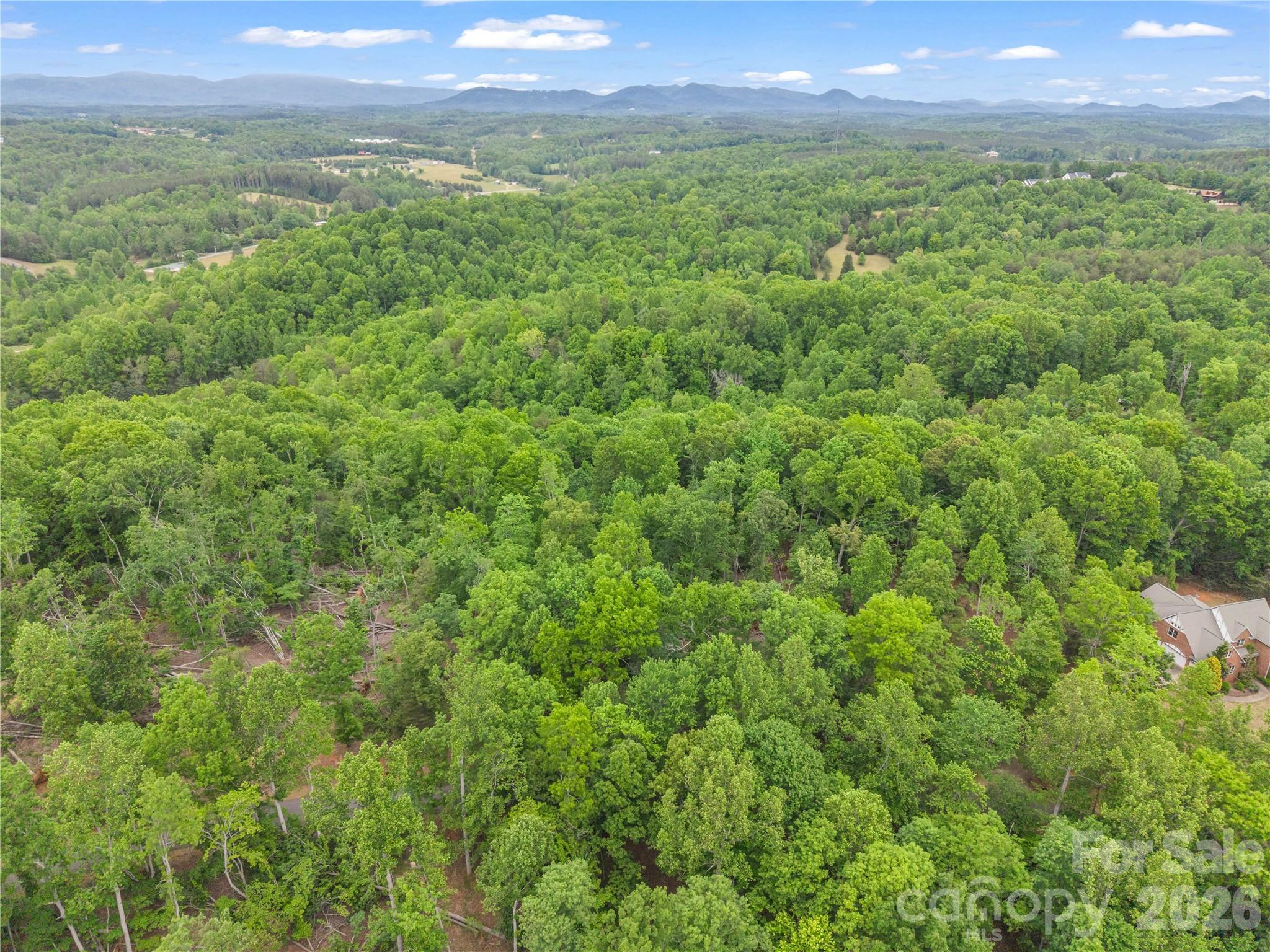 0 Wilderness Ridge Rutherfordton, NC 28139 - Photo 17 of 19