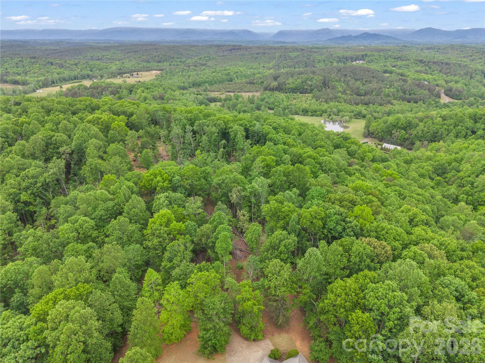 0 Wilderness Ridge Rutherfordton, NC 28139 - Photo 18 of 19