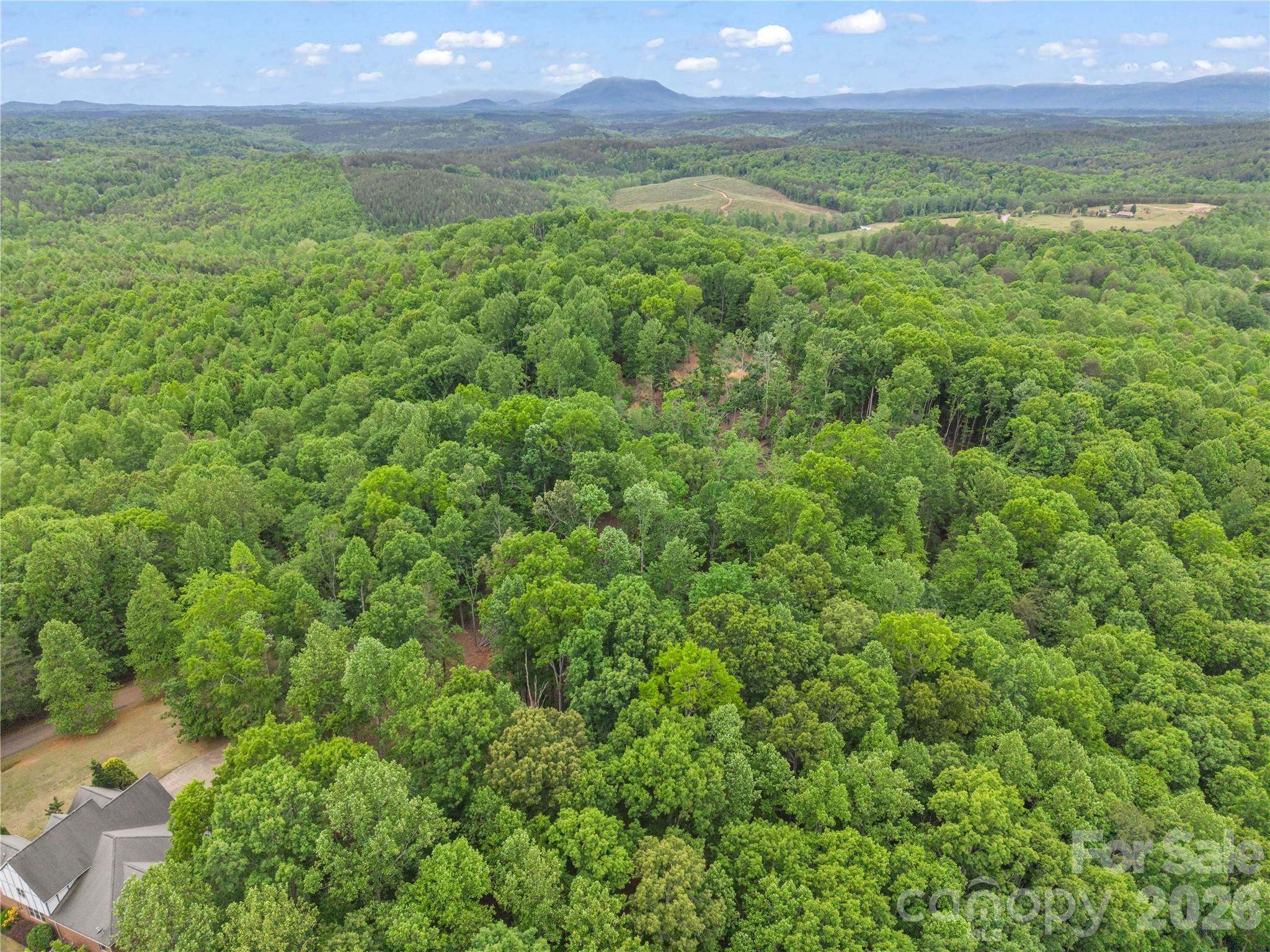 0 Wilderness Ridge Rutherfordton, NC 28139 - Photo 19 of 19