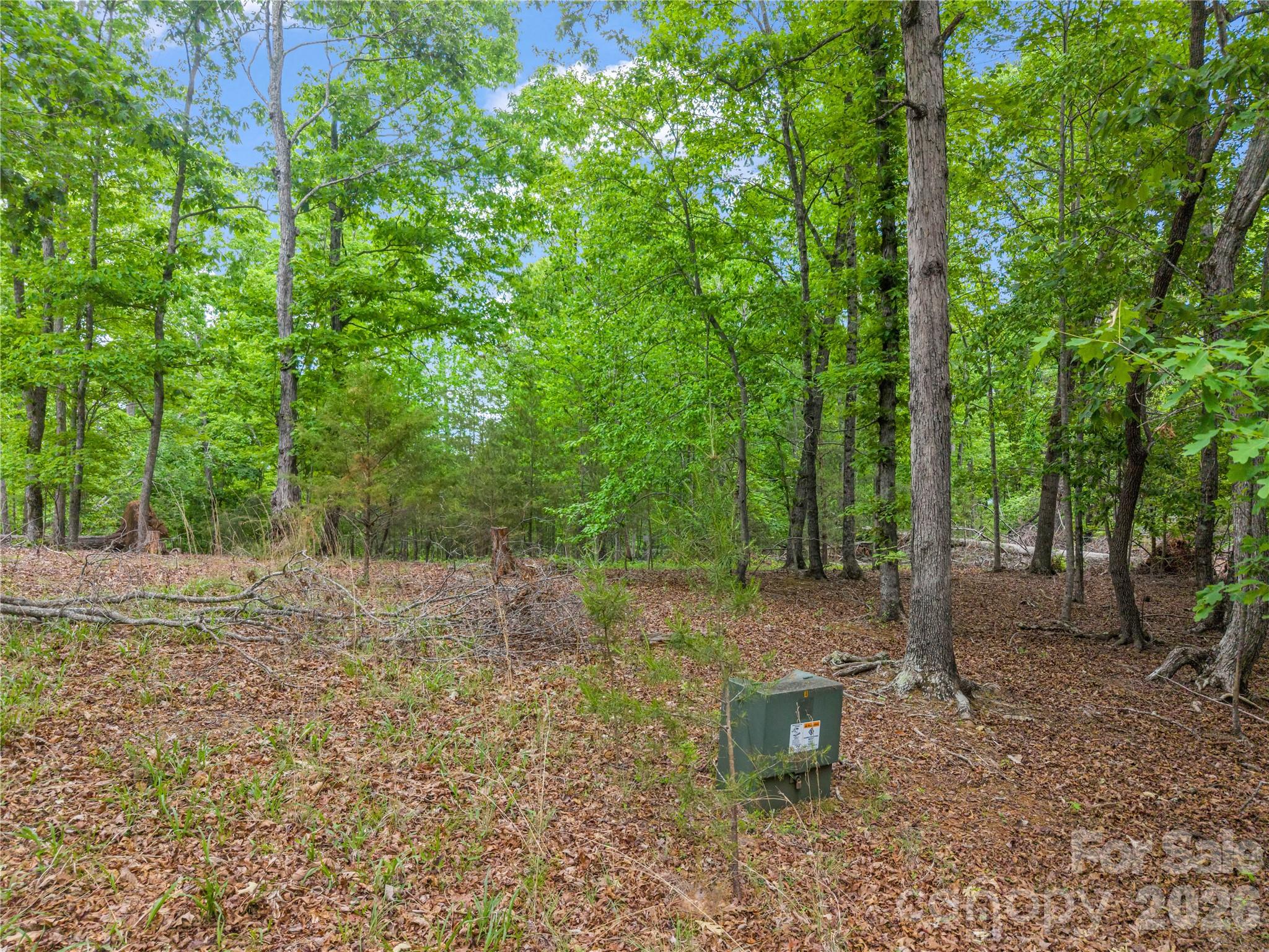 0 Wilderness Ridge Rutherfordton, NC 28139 - Photo 4 of 19