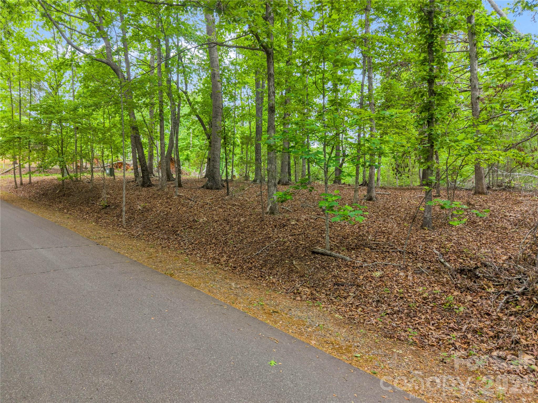 0 Wilderness Ridge Rutherfordton, NC 28139 - Photo 5 of 19