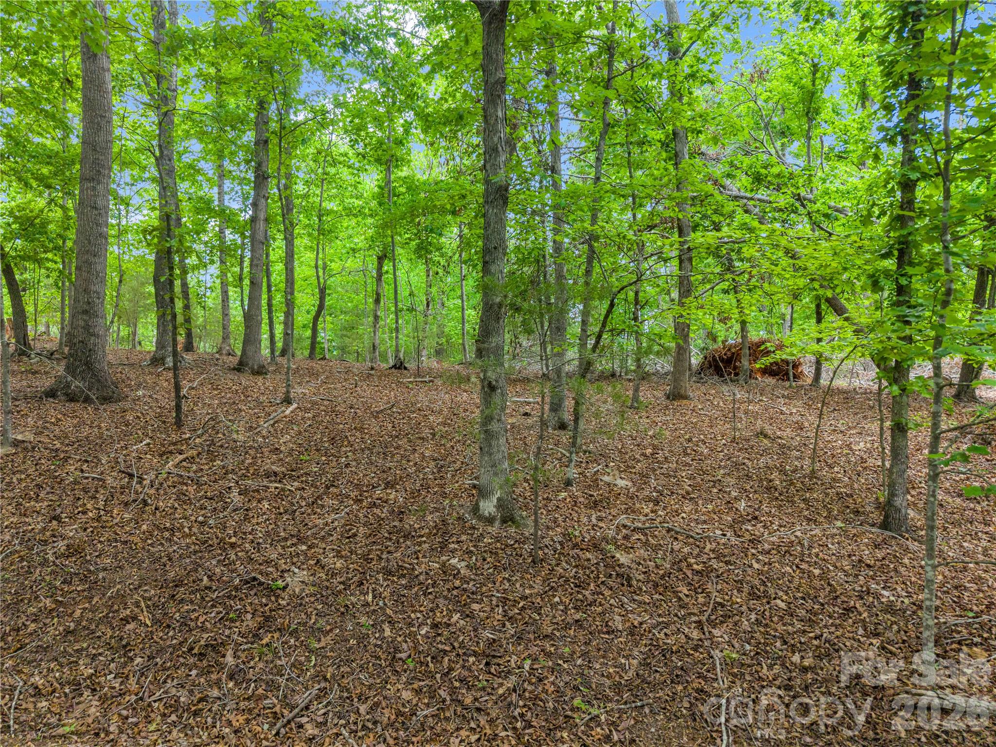0 Wilderness Ridge Rutherfordton, NC 28139 - Photo 6 of 19