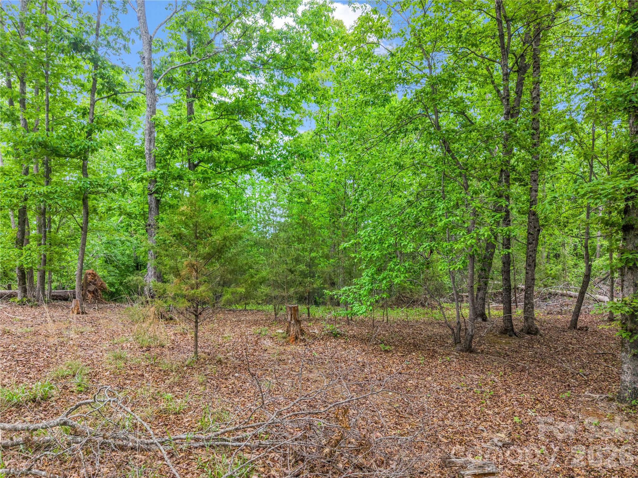 0 Wilderness Ridge Rutherfordton, NC 28139 - Photo 7 of 19