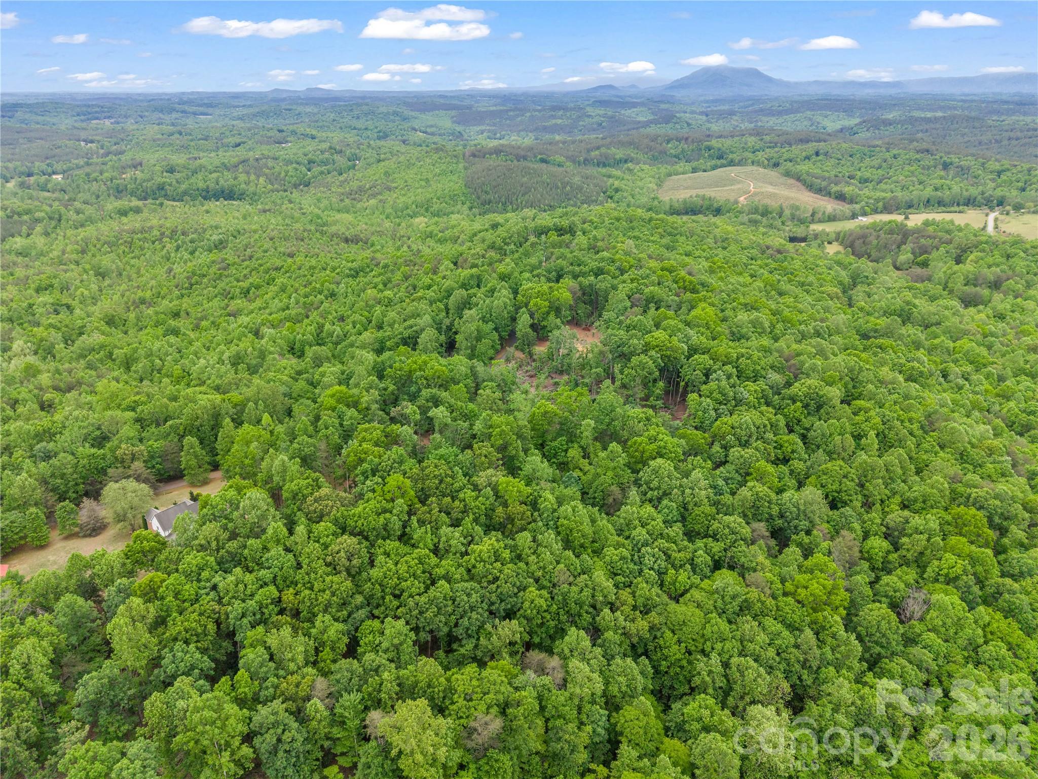0 Wilderness Ridge Rutherfordton, NC 28139 - Photo 10 of 19