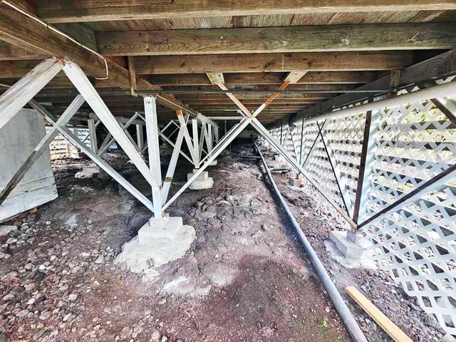 a view of a yard with plants and large trees