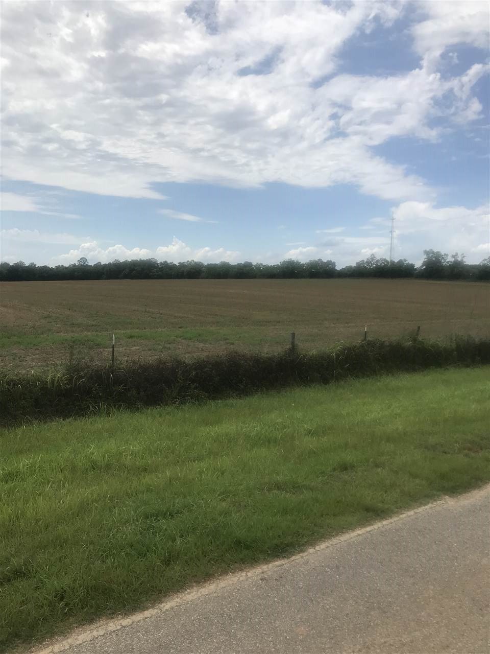23165 Poplar Road Robertsdale, AL 36567 - Photo 3 of 4