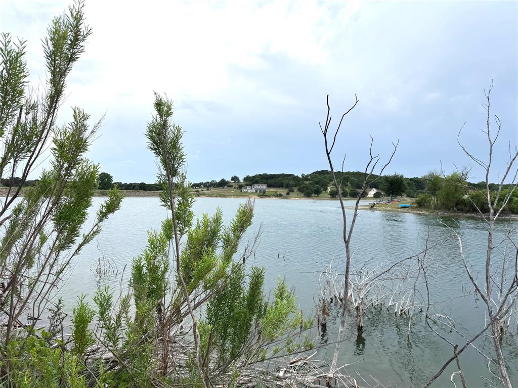 810 Anglers Ridge Bluff Dale, TX 76433 - Photo 2 of 23 a view of lake
