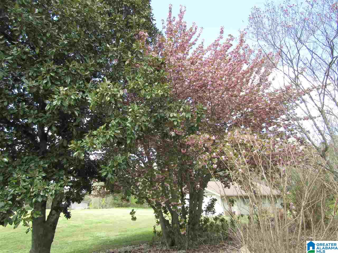 3118 Whitesville Road Albertville, AL 35950 - Photo 30 of 34