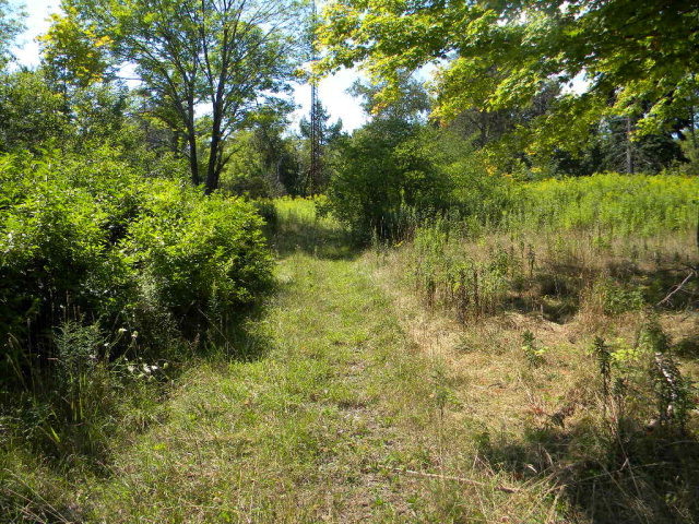 4385 County Road Rock Stream, NY 14878 - Photo 1 of 1