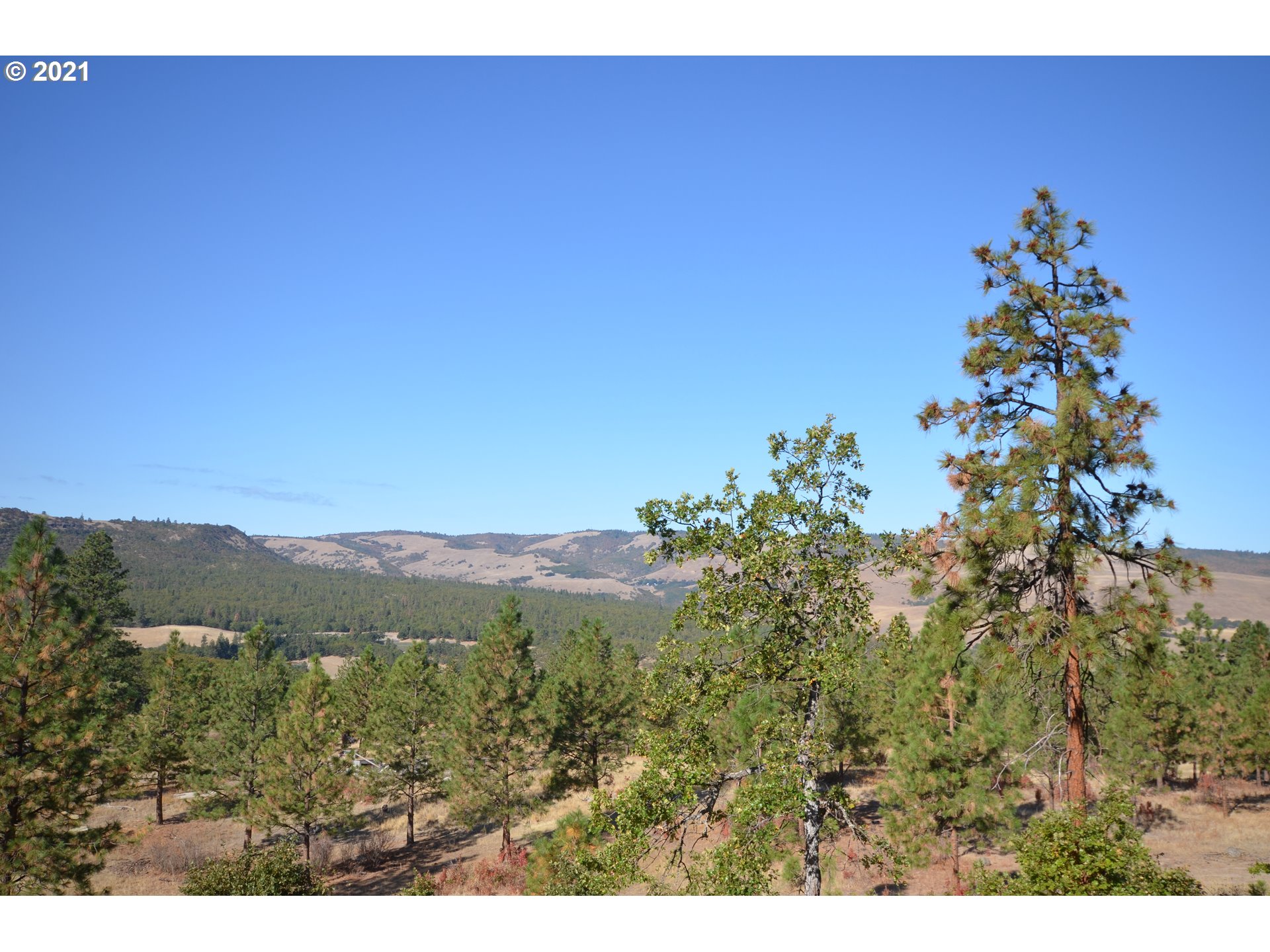 3755 Sandlin Road The Dalles, OR 97058 - Photo 16 of 32 Gallery Image 16