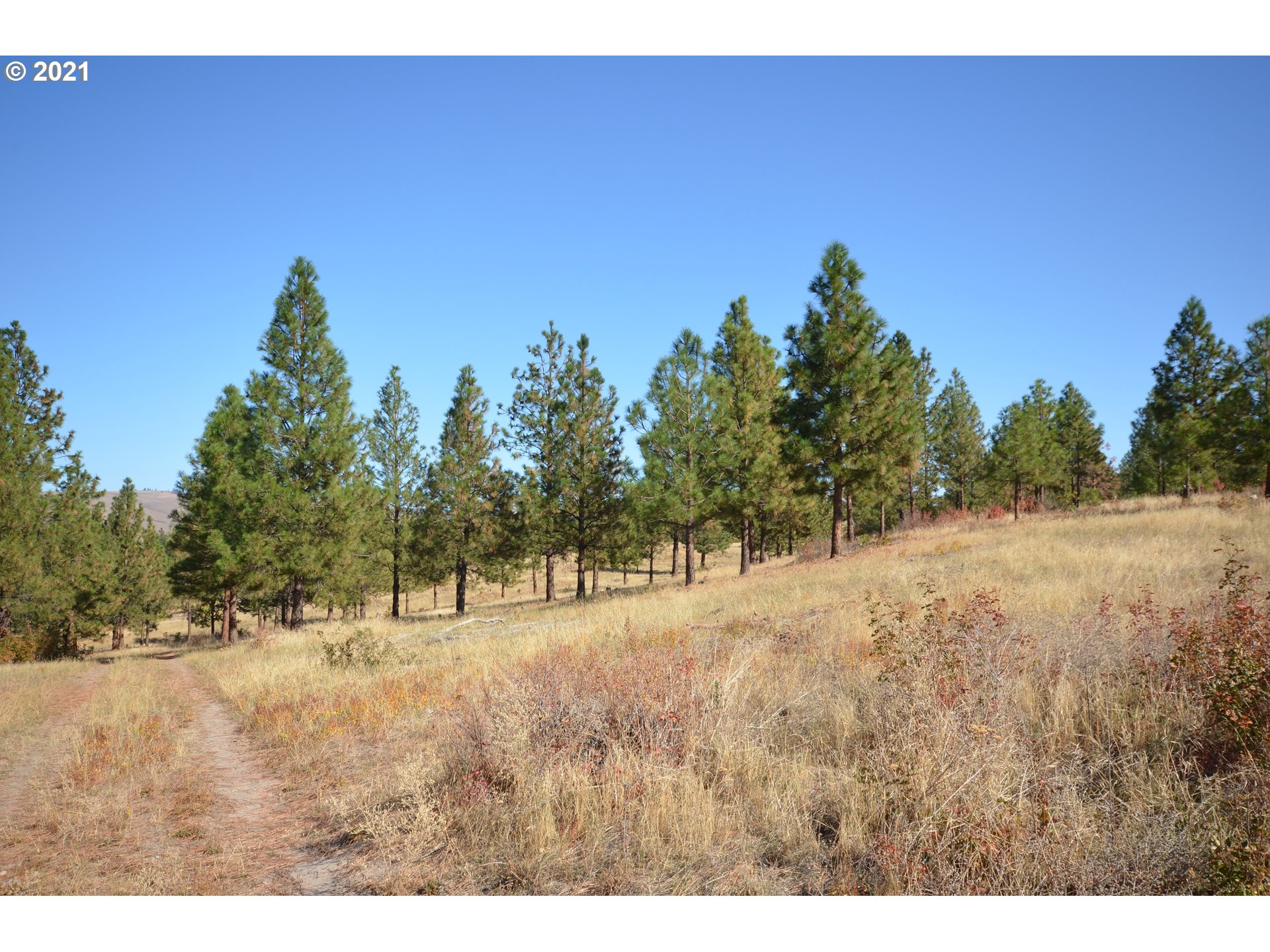3755 Sandlin Road The Dalles, OR 97058 - Photo 19 of 32 Gallery Image 19