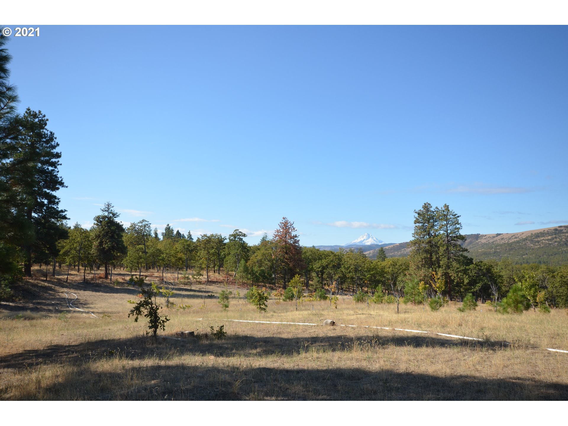 3755 Sandlin Road The Dalles, OR 97058 - Photo 20 of 32 Gallery Image 20