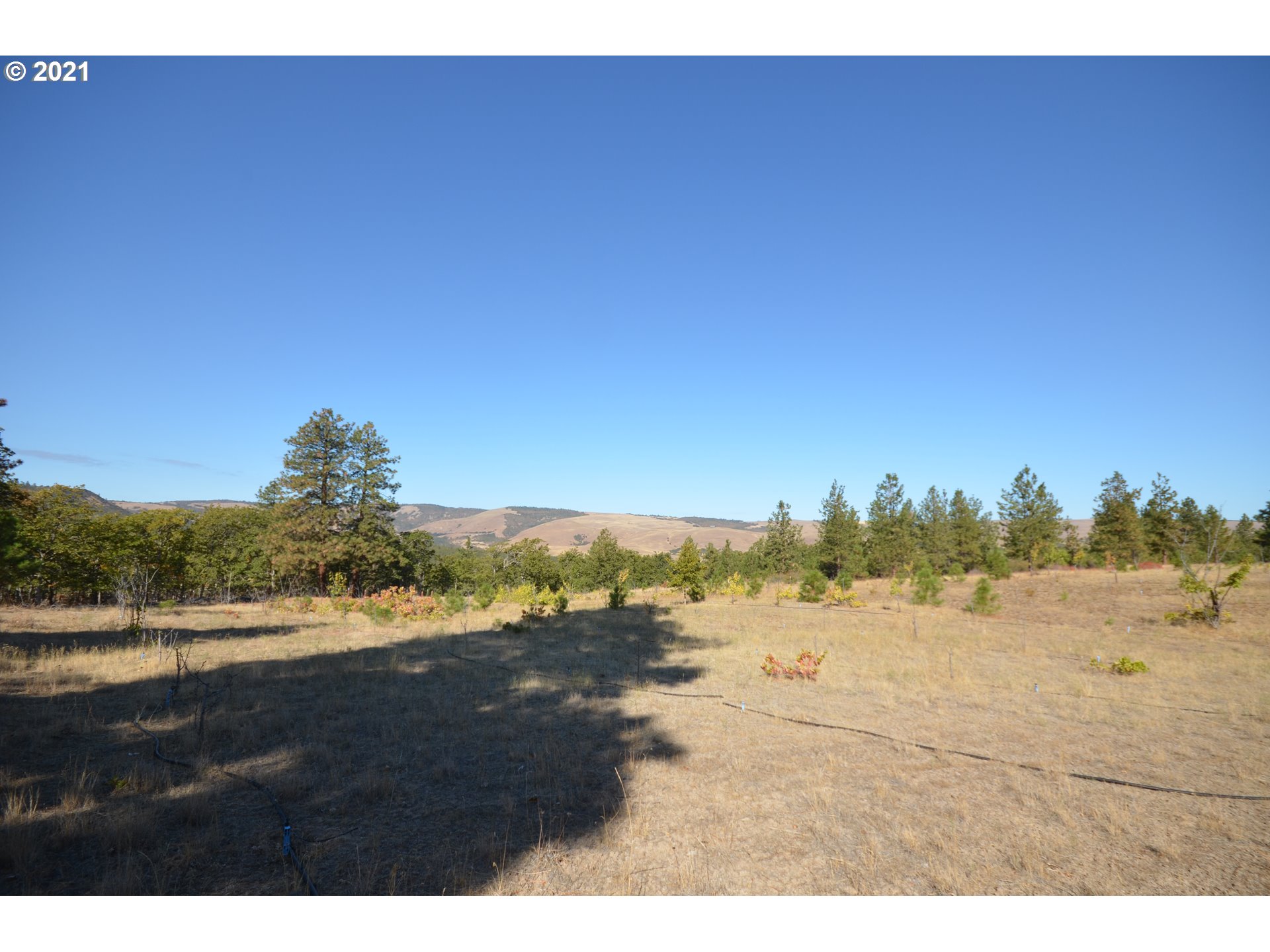 3755 Sandlin Road The Dalles, OR 97058 - Photo 21 of 32 Gallery Image 21