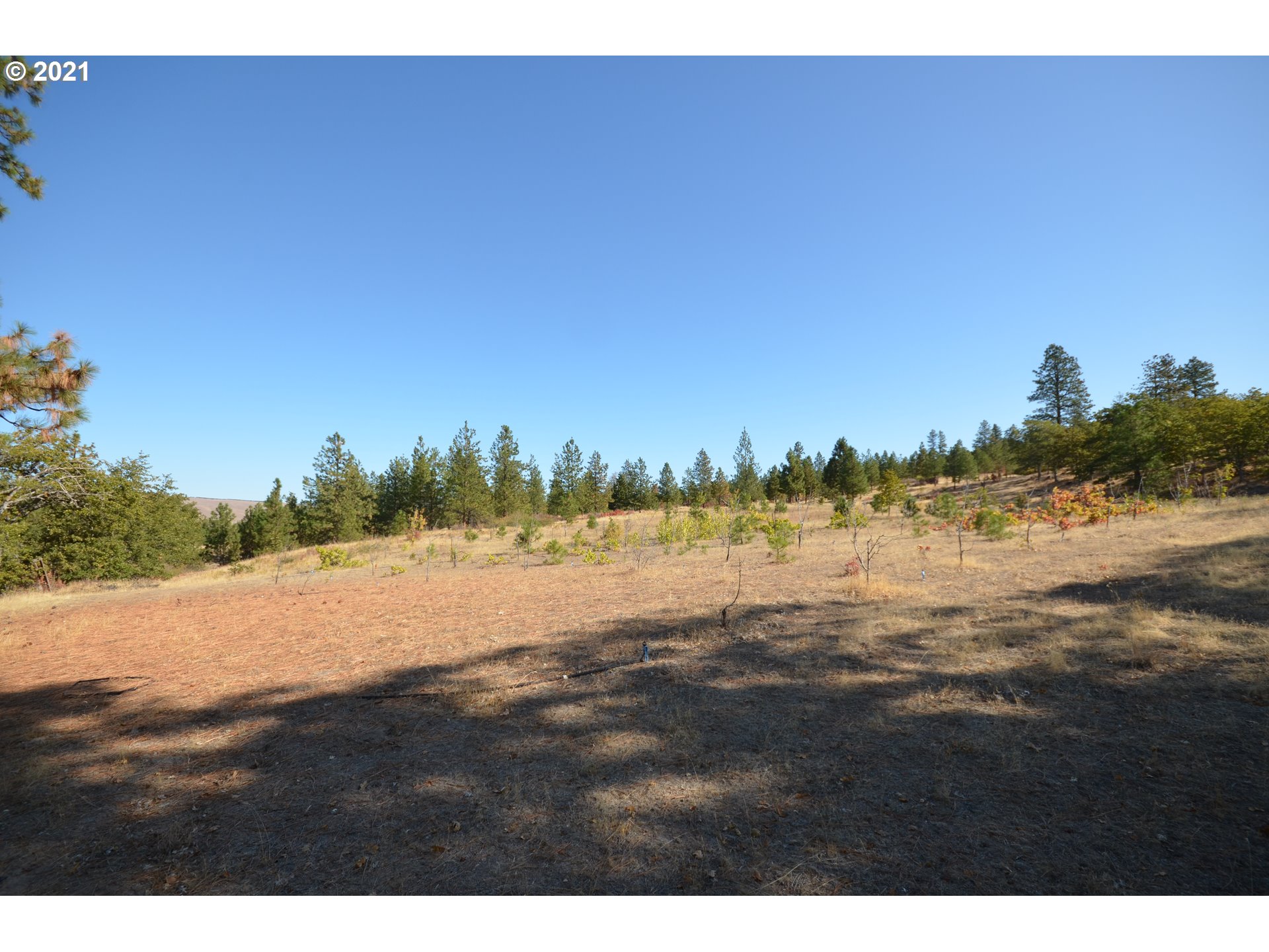 3755 Sandlin Road The Dalles, OR 97058 - Photo 22 of 32 Gallery Image 22