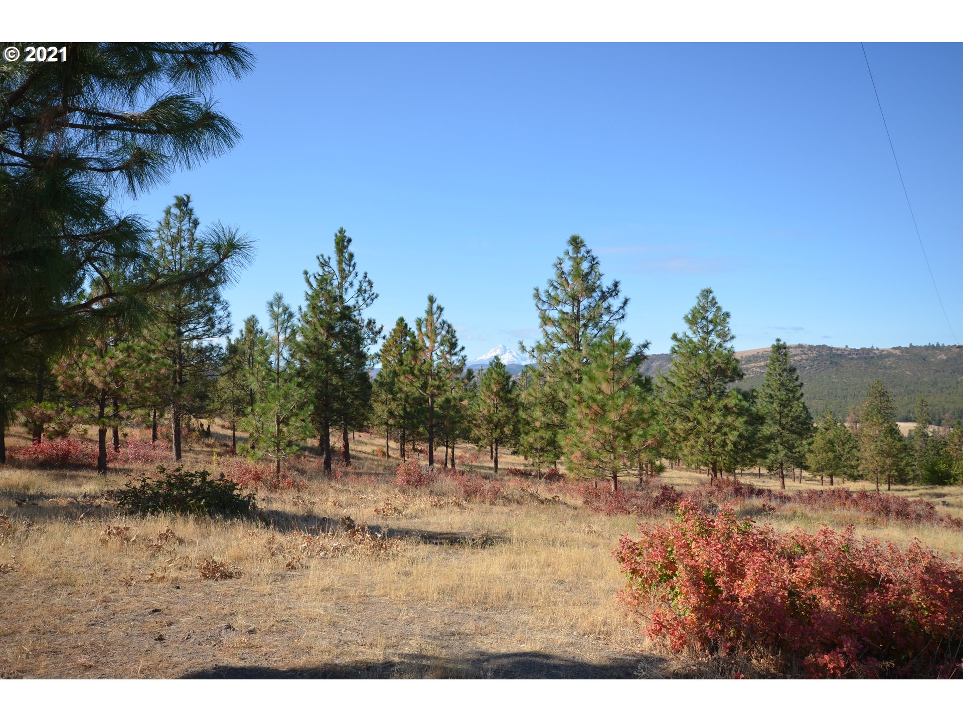 3755 Sandlin Road The Dalles, OR 97058 - Photo 23 of 32 Gallery Image 23