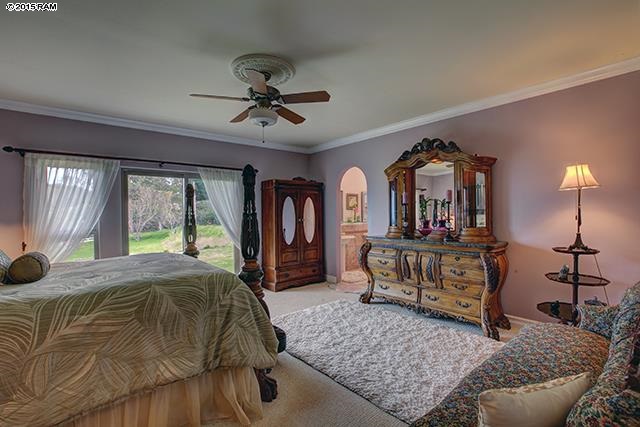 104 Cooke Road Kula, HI 96790 - Photo 8 of 22 a living room with a bed furniture and a large window