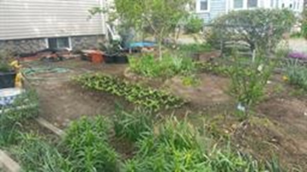 1004 North Main Street Randolph, MA 02368 - Photo 3 of 3