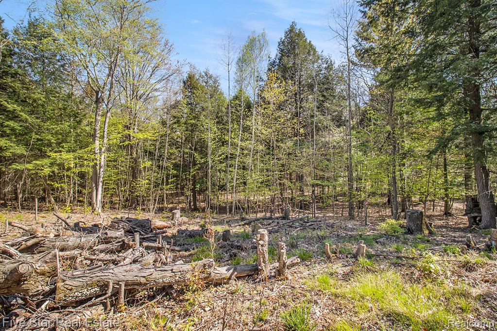 0 Smith Road Onekama, MI 49675 - Photo 16 of 23