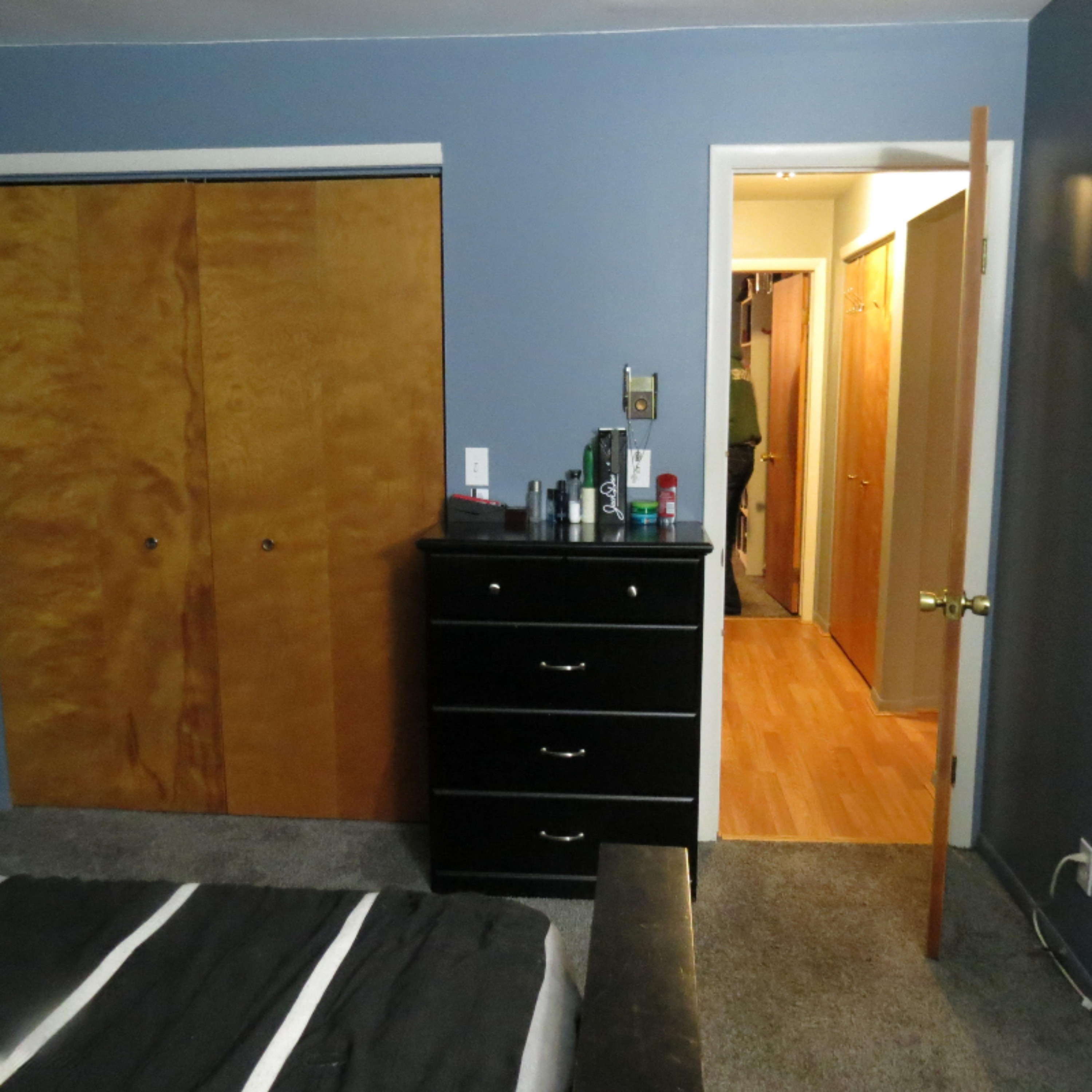 3717 West Allan Road Henderson, MI 48841 - Photo 12 of 30 IMG_8777