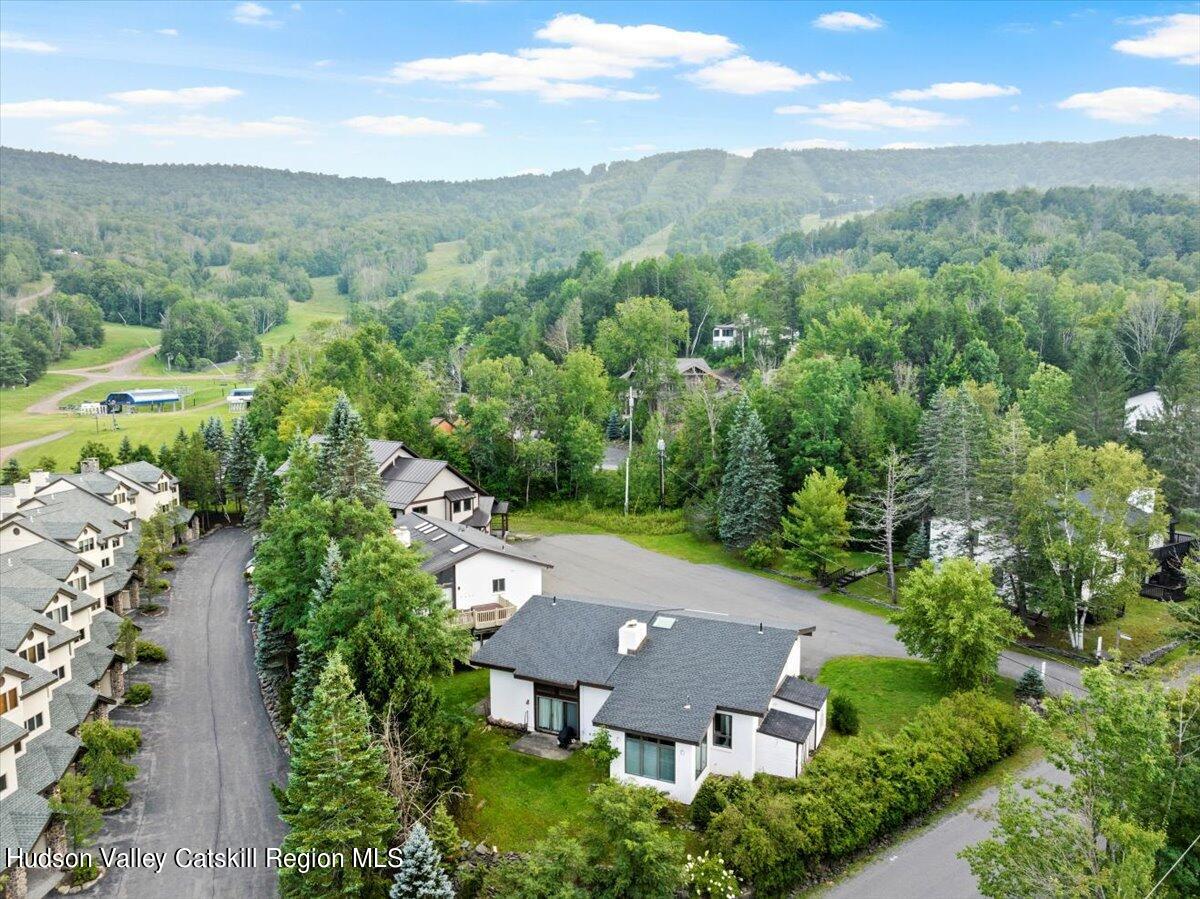 67 Clarence D Lane Road, Unit 1 Windham, NY 12496 - Photo 24 of 30 Drone
