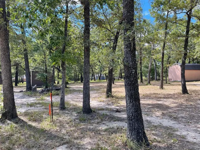 a view of outdoor space with trees