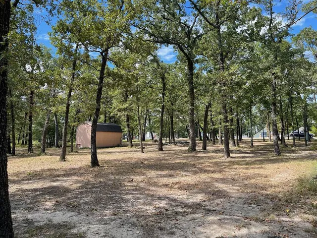 a view of yard with trees